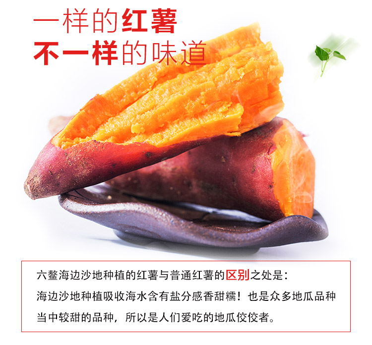5b48579eN9e2026d4.jpg